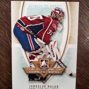 2008-2009 In The Game Between the Pipes Jaroslav Halak