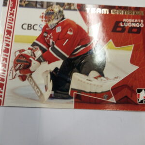 2007-2008 In The Game Between The Pipes Roberto Luongo