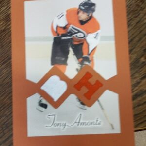 2004-05 big beehive Jony Amonte jersey