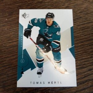 2018-2019 SP Hockey Tomas Hertl