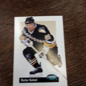 1994-95 parkhurst vintage Markus Naslund