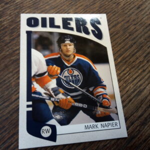 2005-06 NHL In the game Mark Napier