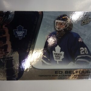 2003-2004 Pacific Trading Cards Quest For The Cup Ed Belfour