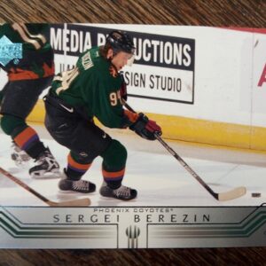 2002 UD Sergei Berezin