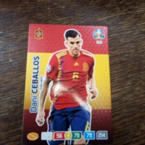 UEFA Euro 2020 Panini Dani Ceballos Team mate