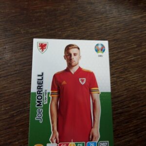 UEFA Euro 2020 Panini Joe Morrell team mate