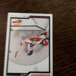 1994-95 Pinnacle score John Vanbiesbrouck