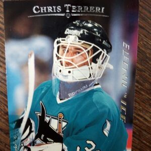 1996 UD Chris Terreri (Electric Ice)