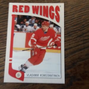 2005 In the game Vladimir Konstantinov