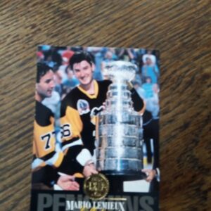 1993 leaf Mario Lemieux collecticn