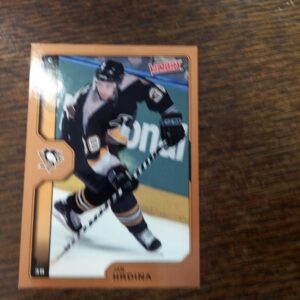 2002-03 UD victory Jan Hrdina