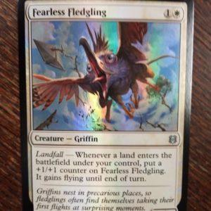 Fearless Fledgling (Foil) - Zendikar Rising