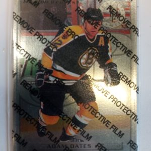 1995-1996 Donruss Leaf Steel Adam Oates