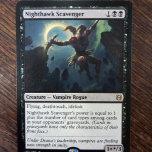 Nighthawk Scavenger - Zendikar Rising