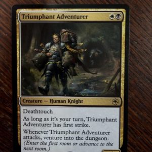 Triumphant Adventurer - Adventures in the Forgotten Realms