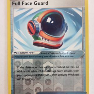 Full Face Guard (foil)