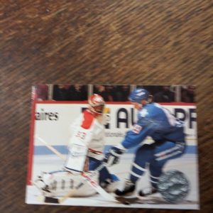 1991 NHLP Patrick Roy platium performer