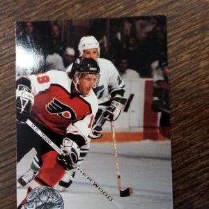1991 pro set NHL & nhlpa Steve Ducene