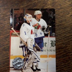 1989 pro set NHL Bryan Fogarty