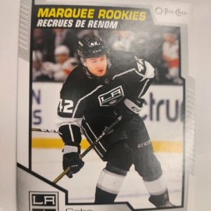 2020-21 O-pee-chee Marquee Rookies Gabe Vilardi RC