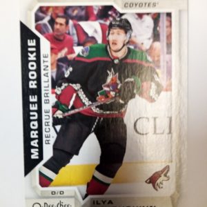 2018-19 Upper Deck O-Pee-Chee Ilya Lyubushkin