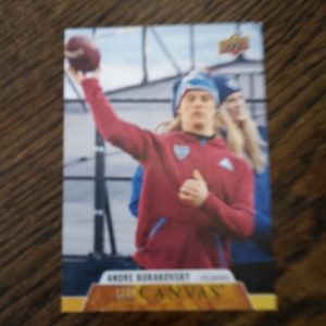 2019-20 UD series 1 canvas Andre Burakovsky