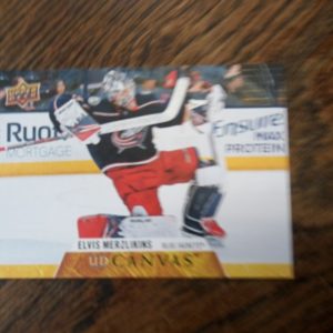 2020-21 UD series 1 canvas Elvis Merzlikins