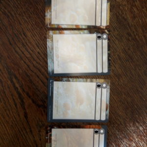 Empty Flip Cards 4 kpl