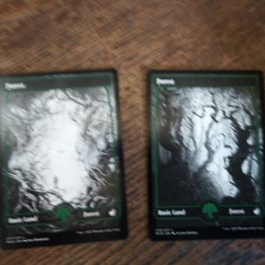 Full art lands Innistrad: Midnight Hunt forest both version