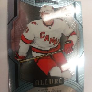 2020-21 UD Allure Double Rainbow Rookie Morgan Geekie