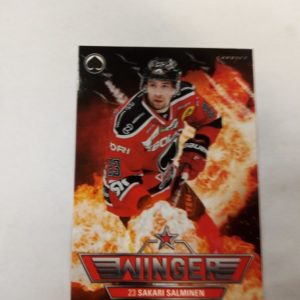 2018-19 sm-liiga Wingers Sakari Salminen