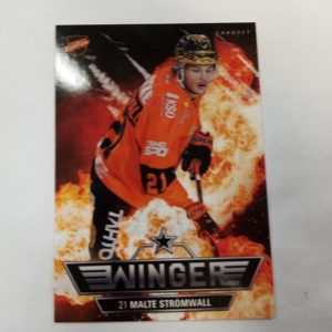 2018-19 sm-liiga Wingers Malte Stromwall