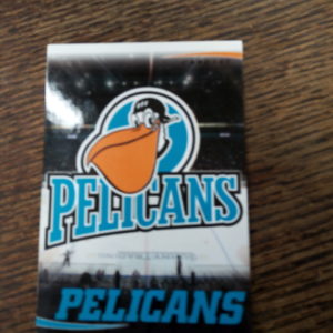 2009-10 sm-liiga Pelicans series 2