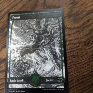 forest vow Pic Hands