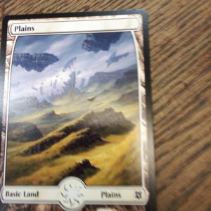 Plains cris rains - Zendikar Rising