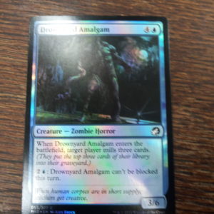 Drownyard Amalgam - Innistrad: Midnight Hunt reverse holo