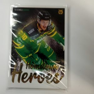 2021-22 sm-liiga erkkareita