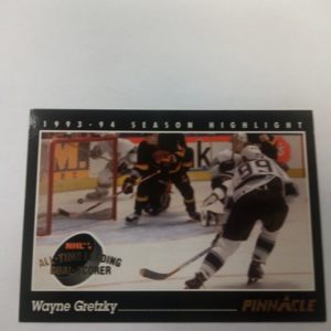 1993-94 Pinnacle season highlight