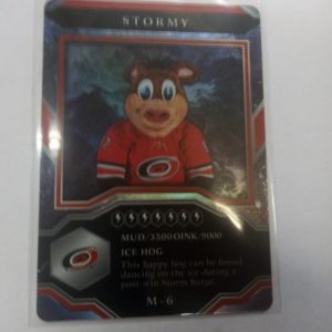 2021-2022 UD mvp Mascots Stormy