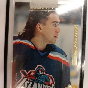 1995-96 Upper Deck Electric Ice Zigmund Palffy