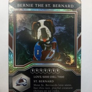 2021-2022 Upper Deck MVP Mascots Bernie the St. Bernard