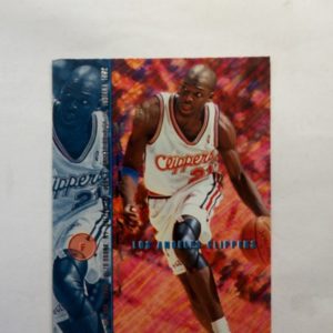 1995-96 Fleer Malik Sealy