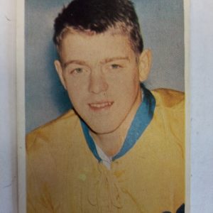 Panda Purukumikuva MM-Toronto Christer Abrahamsson