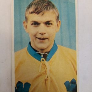 Panda Purukumikuva MM-Toronto Björn Palmqvist