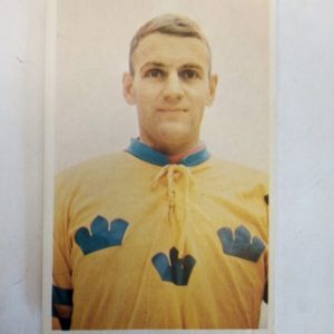 Panda Purukumikuva MM-Toronto Ulf Sterner