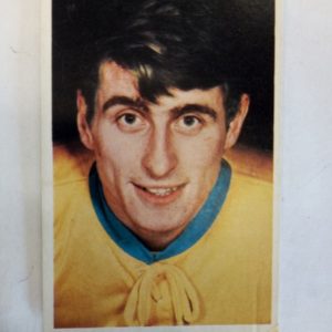 Panda Purukumikuva MM-Toronto Stefan Karlsson