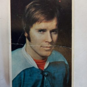 Panda Purukumikuva MM-Toronto Tommi Salmelainen