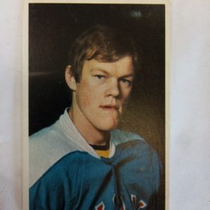 Panda Purukumikuva MM-Toronto Lauri Mononen