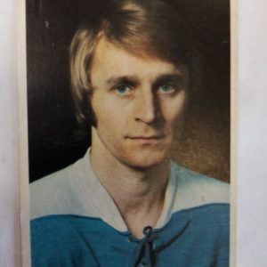 Panda Purukumikuva MM-Toronto Heikki Järn