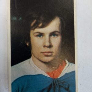 Panda Purukumikuva MM-Toronto Matti Murto